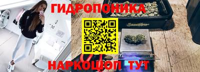 гашик Уссурийск