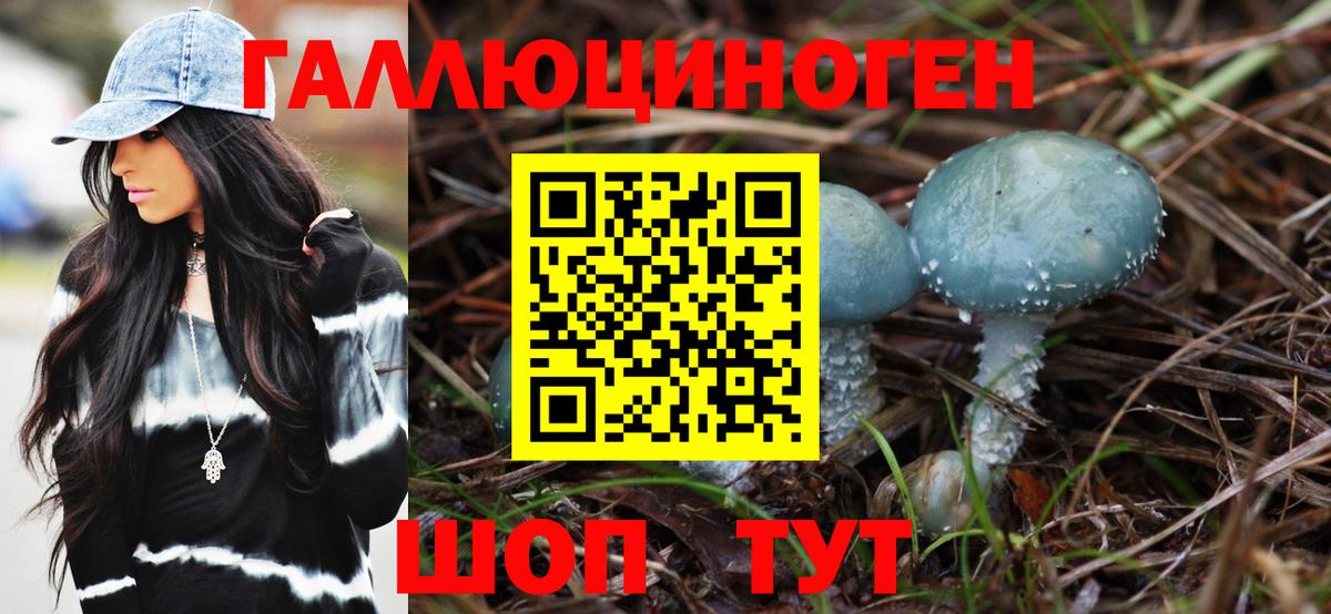 Бийск  Галлюциногенные грибы мицелий  Вход с VPN  Галлюциногенные грибы GOLDEN TEACHER 